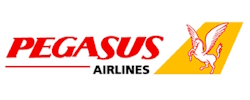 Pegasus